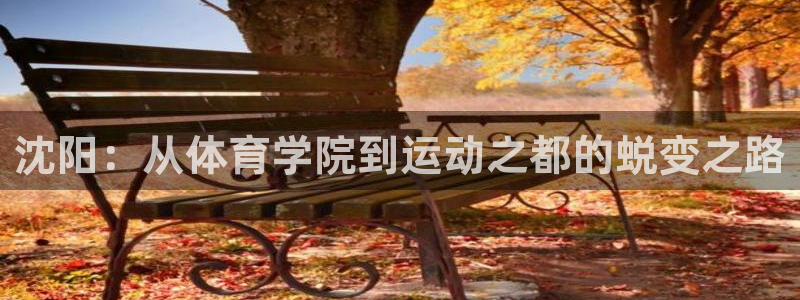 尊龙官方正版app娱乐下载:沈阳:从体育学院到运动之都的蜕变