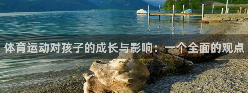 海南尊龙官网下载发展怎么样:体育运动对孩子的成长与影响:一个