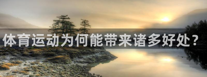 尊龙官方正版app新能源:体育运动为何能带来诸多好处?