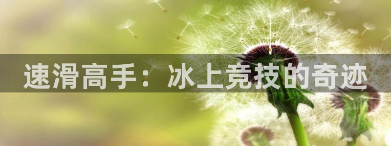 尊龙官方正版app娱乐首页网站大全:速滑高手:冰上竞技的奇迹