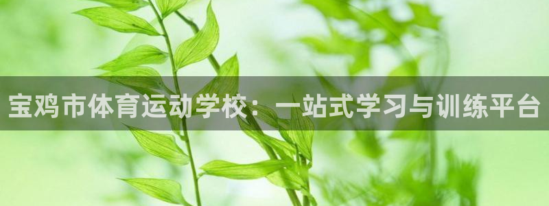 尊龙官方正版app集团官网首页网址:宝鸡市体育运动学校:一站