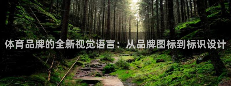 尊龙官方正版app娱乐:体育品牌的全新视觉语言:从品牌图标到